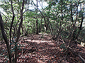bizan092_thumb.png
