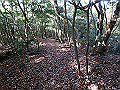 bizan093_thumb.png
