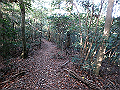 bizan094_thumb.png