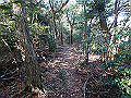 bizan095_thumb.png