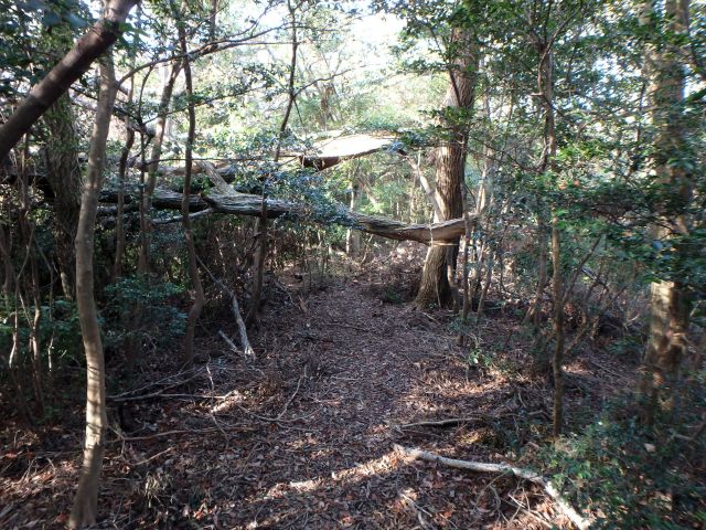 bizan096.jpg