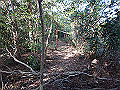 bizan097_thumb.png
