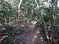 bizan098_thumb.png