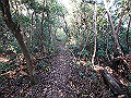 bizan099_thumb.png