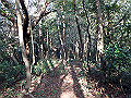 bizan102_thumb.png