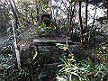 bizan108_thumb.png