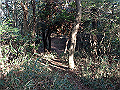 bizan110_thumb.png