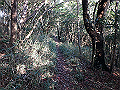 bizan118_thumb.png