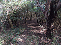 bizan119_thumb.png