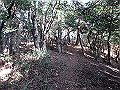bizan127_thumb.png