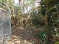 bizan129_thumb.png