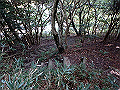 bizan132_thumb.png