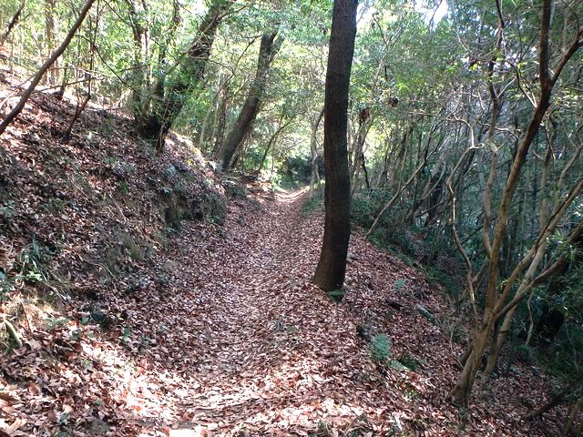 bizan09.jpg