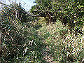 bizan004_thumb.png