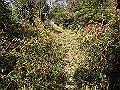 bizan005_thumb.png
