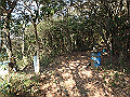 bizan008_thumb.png