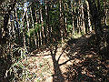 bizan010_thumb.png