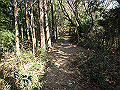 bizan011_thumb.png
