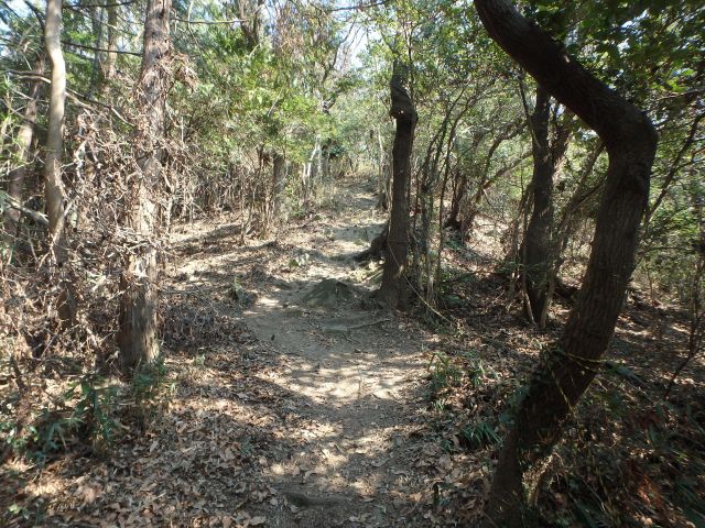 bizan012.jpg