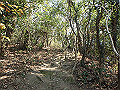 bizan013_thumb.png