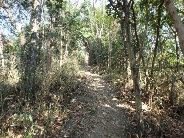 bizan014.jpg