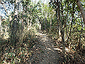 bizan014_thumb.png