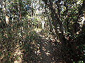 bizan015_thumb.png