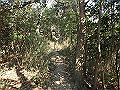 bizan016_thumb.png