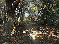 bizan017_thumb.png