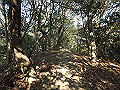 bizan018_thumb.png