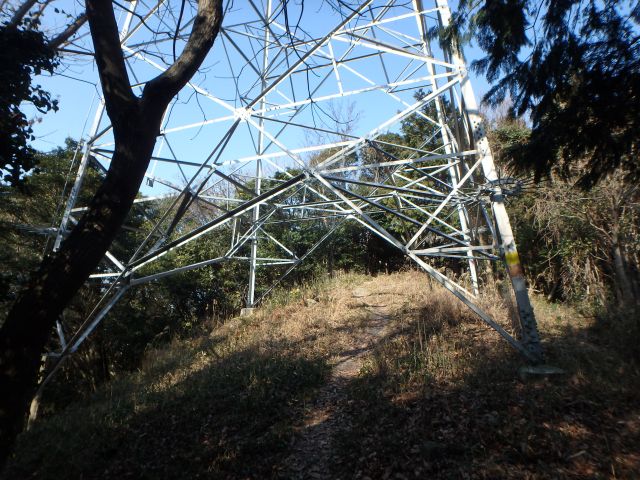 bizan019.jpg