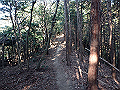 bizan021_thumb.png