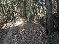 bizan022_thumb.png