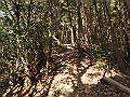 bizan023_thumb.png