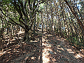 bizan025_thumb.png