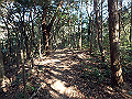 bizan028_thumb.png