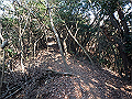 bizan029_thumb.png
