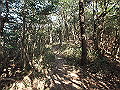 bizan030_thumb.png