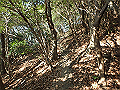 bizan034_thumb.png