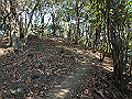 bizan035_thumb.png
