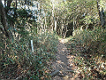 bizan036_thumb.png