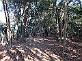 bizan037_thumb.png