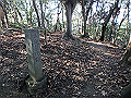 bizan038_thumb.png