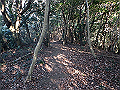 bizan039_thumb.png