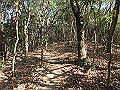 bizan041_thumb.png