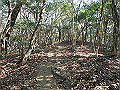 bizan042_thumb.png