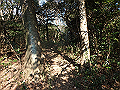 bizan044_thumb.png