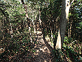 bizan045_thumb.png