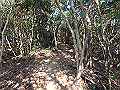 bizan046_thumb.png