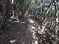 bizan047_thumb.png